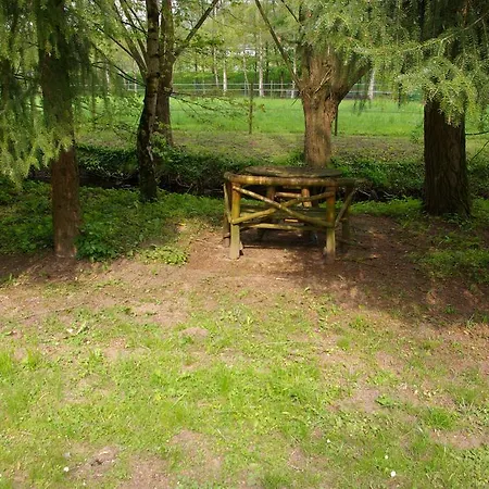 Konukevi Gaestehaus Schewe 4*