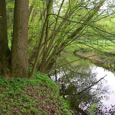 Gaestehaus Schewe 4*