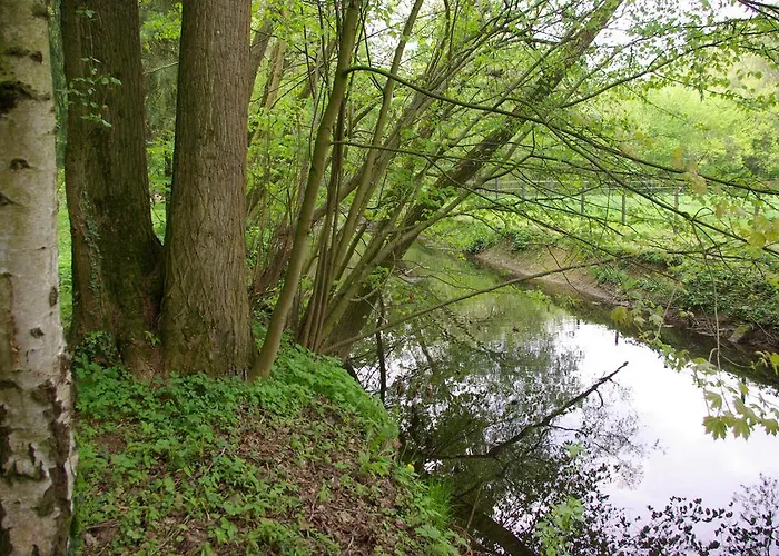 Gaestehaus Schewe 4*